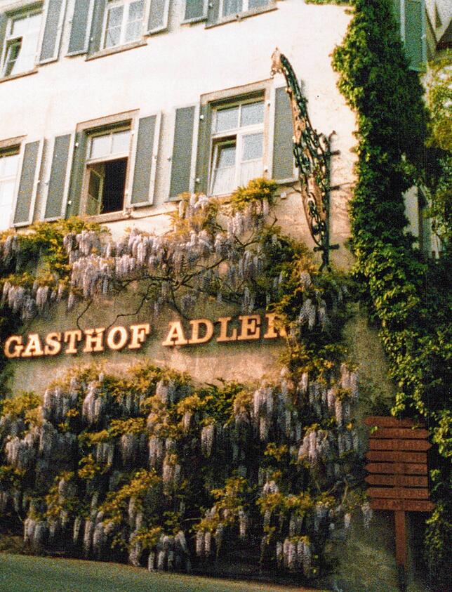 In voller Blüte: Die Fassade des Gasthofs Adler in Sipplingen war Anfang der 90er Jahren von einer Glyzinie umrankt.