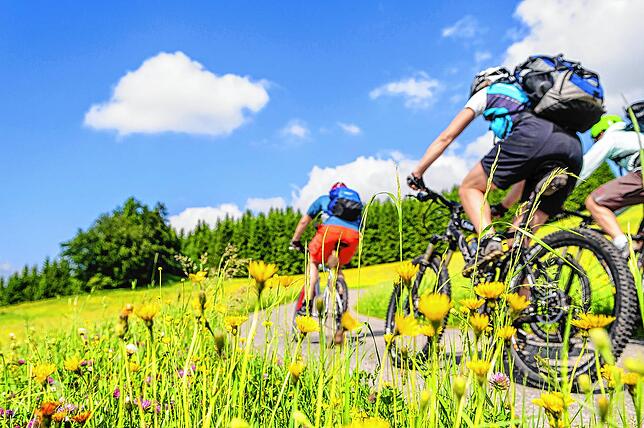 Biken im Schwarzwald – eine Genuss, den auch der MTB-Tag des Skiclubs Hotzenwald am 20. Juli seinen Teilnehmern wieder bietet.