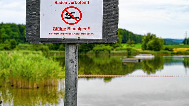 Im Jahr 2019 wurde der See schon einmal gesperrt. Damals wiesen Schilder auf die Blaualgen hin.