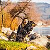 Carolin Welsch und der achtjährige Australian Shepherd Merlin am Rheinufer in Bad Säckingen.