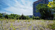 Auf der Liste des Handlungsprogramms Wohnen finden sich einige Brachflächen, wie diese hier, nördlich des Petershauser Bahnhofs. Auf den ...