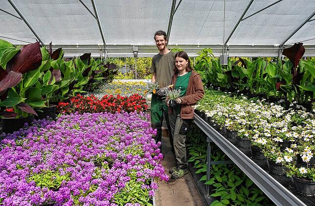Sommerflor kommt raus: Dieser Tage bringt er nach dem Frühjahrsflor frische Blumenpracht in öffentliche Flächen Waldshut-Tiengens, ...