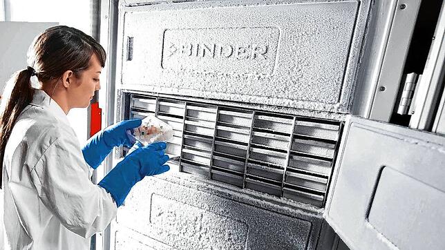 Eine Frau arbeitet an einem Spezial-Kühlschrank des Tuttlinger Unternehmens Binder.