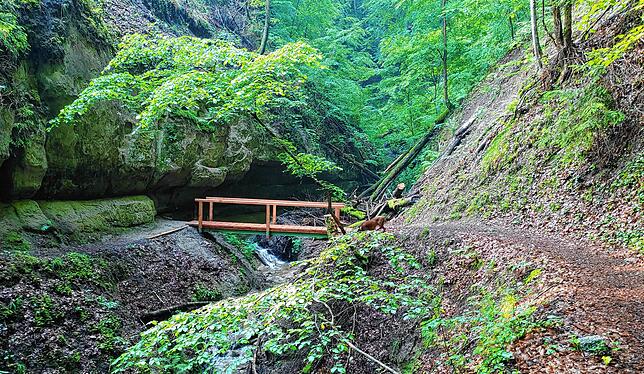 Sanierte Brücke in der Katharinenschlucht. Die Holzbeplankung der alten Brücke wurde durch einen Baumsturz zerstört.