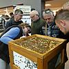 Zog vor allem Fachpublikum an: Vor und in den Donauhallen drehte sich bei den Berufs- und Erwerbsimkertagen alles um Bienen und die ...