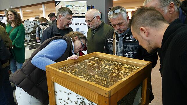 Zog vor allem Fachpublikum an: Vor und in den Donauhallen drehte sich bei den Berufs- und Erwerbsimkertagen alles um Bienen und die ...