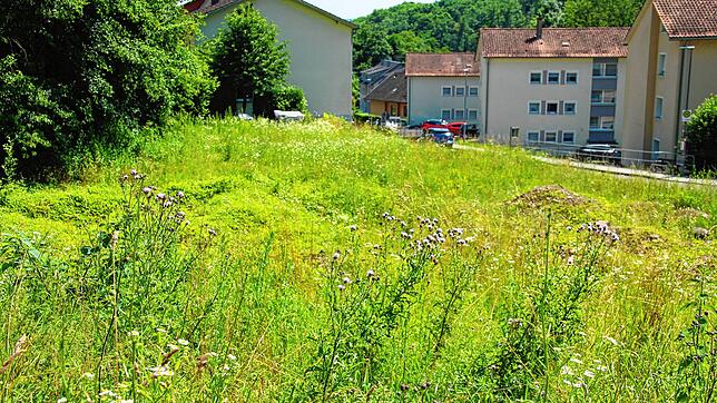 Still und brach liegt as Gelände zwischen Schmitzinger und Eibenkopfstraße. Hier will die Baugenossenschaft Föfa einen Wohnkomplex ...