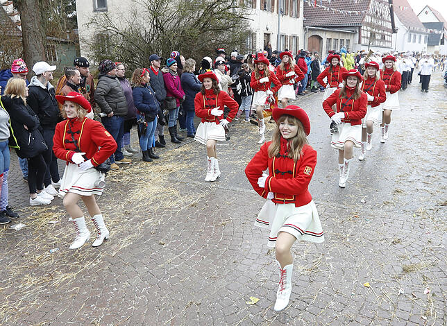 Bild 24: Bilder zum großen Narrentreffen in Pfohren (4)