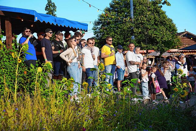 Bild 5: 52. Weinfest Bermatingen: So bunt war das Fest – die spektakulärsten Bilder