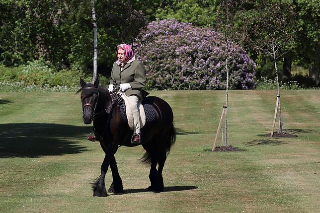Queen Elizabeth reitet Balmoral Fern (14 Jahre)