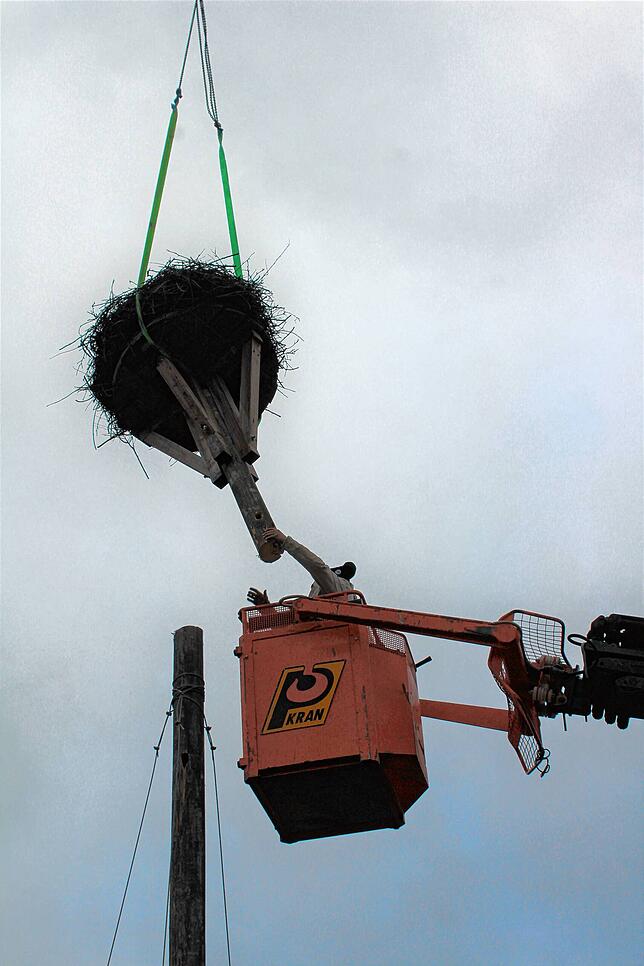 Kurz darauf hängt der obere Teil des Storchenmasts am Haken und wird langsam nach unten befördert.