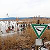 Vorne das Verbotsschild, hinten Menschen auf dem Eis. Der Weg dorthin führt durch den Schilfgürtel.
