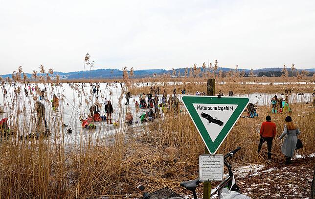 Vorne das Verbotsschild, hinten Menschen auf dem Eis. Der Weg dorthin führt durch den Schilfgürtel.