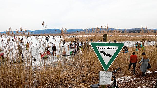 Vorne das Verbotsschild, hinten Menschen auf dem Eis. Der Weg dorthin führt durch den Schilfgürtel.