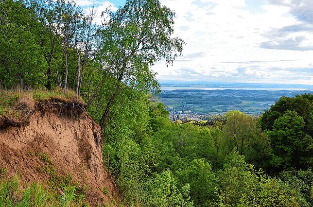 Die Rutsch am Gehrenberg.