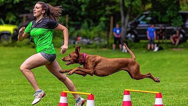 Es geht nicht nur um die Zeit. Mensch und Hund müssen auch immer auf gleicher Höhe sein. Lilien Hauser und Pheline bei einem Turnier des ...