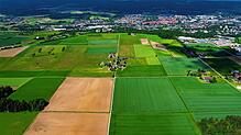 Soll hier ein Solarpark bei den Bertholdshöfen zwischen Villingen und Schwenningen entstehen oder nicht? Der Ton zwischen Gegnern und ...