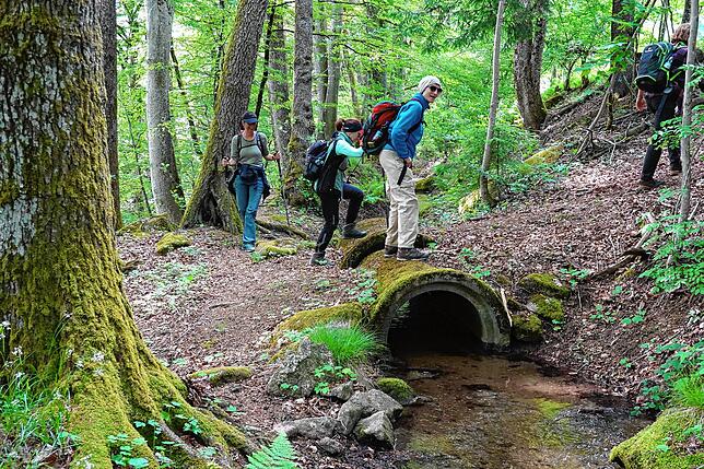 Bild 6: 180 Teilnehmer beim 42-Kilometer-Wandermarathon: Das sind die Bilder