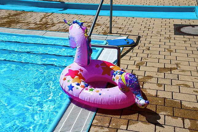 Bild 3: 20 Jahre Schwimmfreunde Stühlingen: Sommerfest