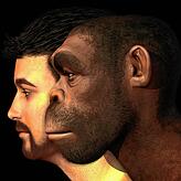 Vom frühen Homo Erectus (rechts) zum Menschen: Die Mitglieder der Giordano Bruno Gesellschaft folgen der Evolutionslehre – ...