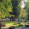 Voller Herosé-Park im Sommer 2020. Kinder, Jugendliche, Erwachsene genießen hier die Sonne. Doch je später es wird, desto schlimmer die ...