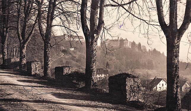 In der Mitte des 19. Jahrhunderts wurde die Straße von Steigen nach Heiligenberg durch den Wald gelegt. Diese Ansicht dürfte kurz darauf ...