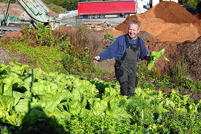Eigentlich ist Detlef Pfundstein kein Gemüsegärtner, sondern Garten- und Landschaftsbauer. Auf dem Betriebsgelände der Gartengestaltung ...