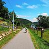 Vorbei an ländlicher Idylle führt der Fahrradweg zwischen Herten und Degerfelden.