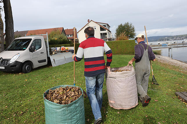 Nach vollbrachter Arbeit versorgten Gärtner und Journalist das Laub auf dem Wagen. Es landet später im Wertstoffhof.