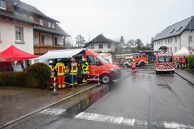 Bild 17: Brand im Sägewerk: Bilder vom Einsatz in Murg-Hänner