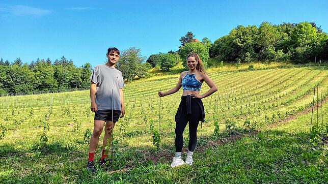 Winzer Severin Denzel und Clara Bach, beide Gründer der Hegau Solawi, zeigen den neuen, einen Hektar großen Weinberg am Friedinger ...