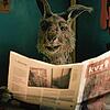 Der Hauptdarsteller der &bdquo;Känguru-Chroniken&ldquo;: Die Verfilmung von Marc Uwe Klings Bestseller kommt am Donnerstag in die Kinos.