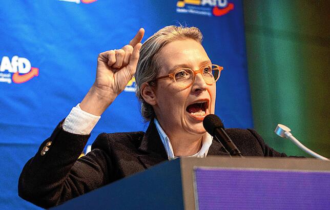 Alice Weidel, Bundessprecherin der AfD, spricht in der Stadthalle zu Parteimitgliedern.