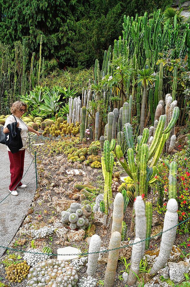 Besonders die Kakteenanlage im Überlinger Stadtpark hat es der Urlauberin angetan.