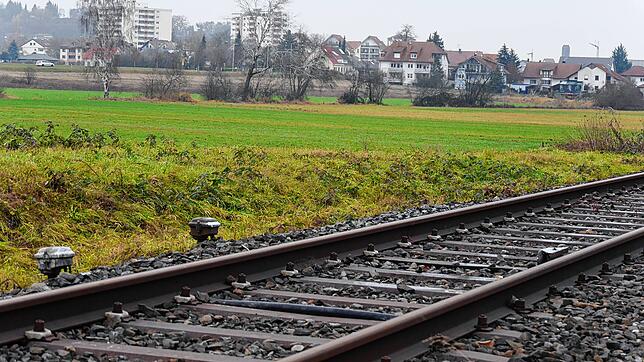 Eine eventuellen Reaktivierung der Etzwiler Bahn &ndash; hier ein Streckenabschnitt südlich von Rielasingen &ndash; steht im Gespräch.