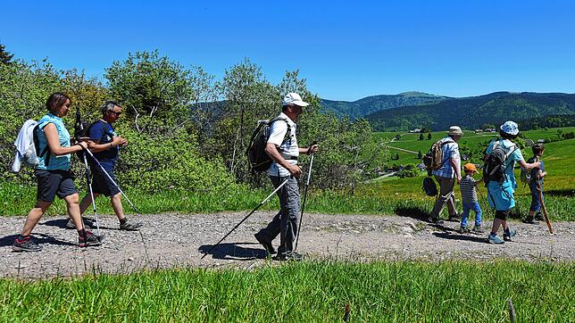 Der Schwarzwaldverein lädt wieder zum Wandern ein &ndash; hält sich dabei aber an die ASbstandsregeln. Symbolbild