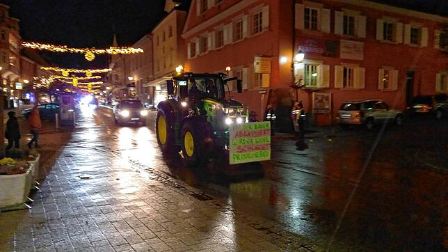 Bild 3: Landwirte haben genug: Alle Bilder von der Traktor-Protestfahrt durch Stockach