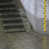 Eine beeindruckende Wasserlandschaft: Die Donau ist über die Ufer getreten. Der Gemeindeverbindungsweg steht unter Wasser.
