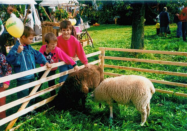 Die Kinder der Herbstmarkt-Ausschussmitglieder hatten 1995 bei der Premiere der Veranstaltung besonderen Spaß an den Tieren auf der ...