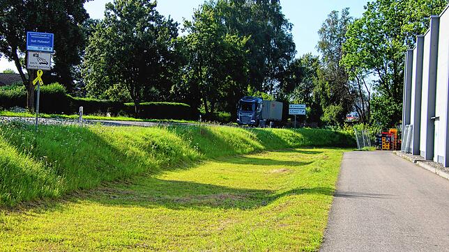 Monatelang standen großflächige Werbetafeln im Straßengraben entlang der Landesstraße, die auf Geheiß der Stadtverwaltung nun entfernt ...