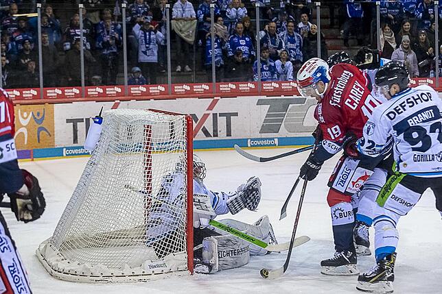 Bild 20: Die Wild Wings siegen wieder in der Deutschen Eishockey-Liga