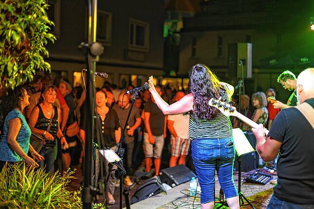 Bild 4: Bilder vom Altstadtfest in Radolfzell (2/2)