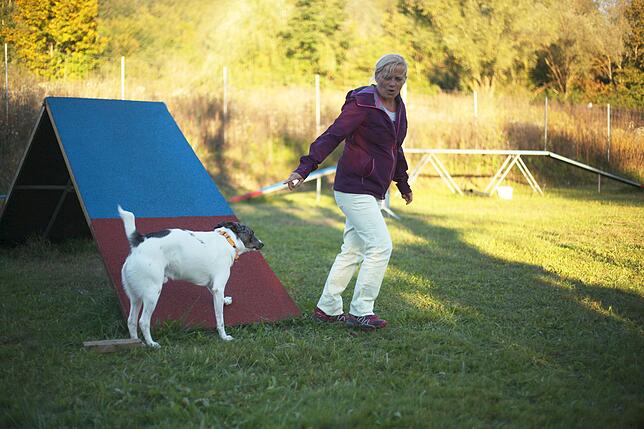Bild 3: Gemeinsam in der Hundeschule: So üben Mensch und Tier zusammen auf dem Hindernisparcours