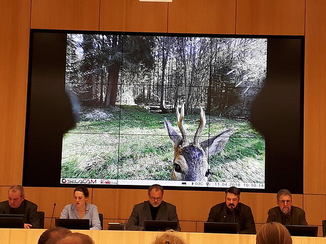 Bei der Diskussion über das Wildtiermonitoring (von links): Karl Gutzweiler (WWF), Elena Kummer (Kreisforstamt), Martin Strein (FVA), ...