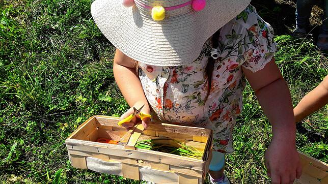 Auch in diesem Jahr wird für Kinder viel geboten.