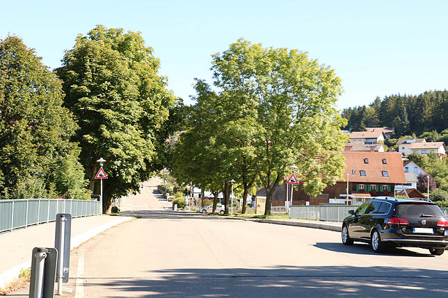 Die Brigachbrücke in Grüningen wird ebenfalls saniert. Für Radfahrer bleibt sie passierbar, über die Umleitungsregelung wird noch gegrübelt.