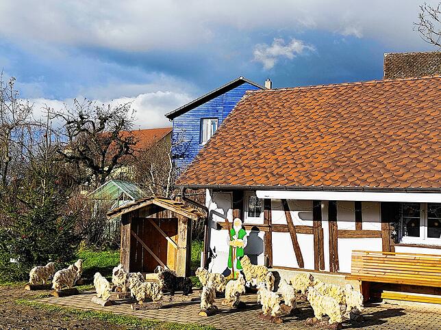 Vor dem Selgetsweiler Haus Rose stehen die 15 Schafe, welche von den Kindern des 100 Seelen Ortsteiles selbst gemeinsam mit den Eltern ...