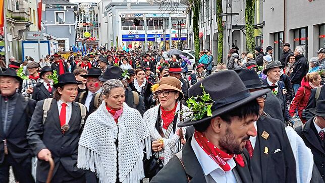 Wälder – wohin man schaut.
