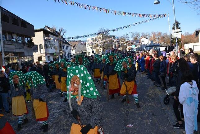 Bild 20: Bilder vom Narrentreffen der Urviecher-Zunft Bad Dürrheim: Großer Festumzug (4)
