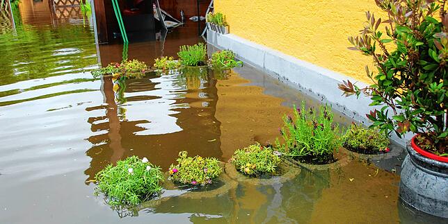 An den Pflanzkübeln zeigt sich deutlich, wie hoch das Wasser an dieser Stelle stand.